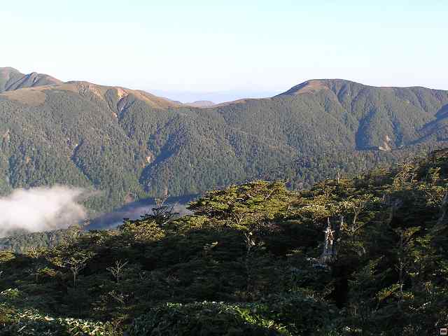 NZ leden-unor 2006 213.jpg